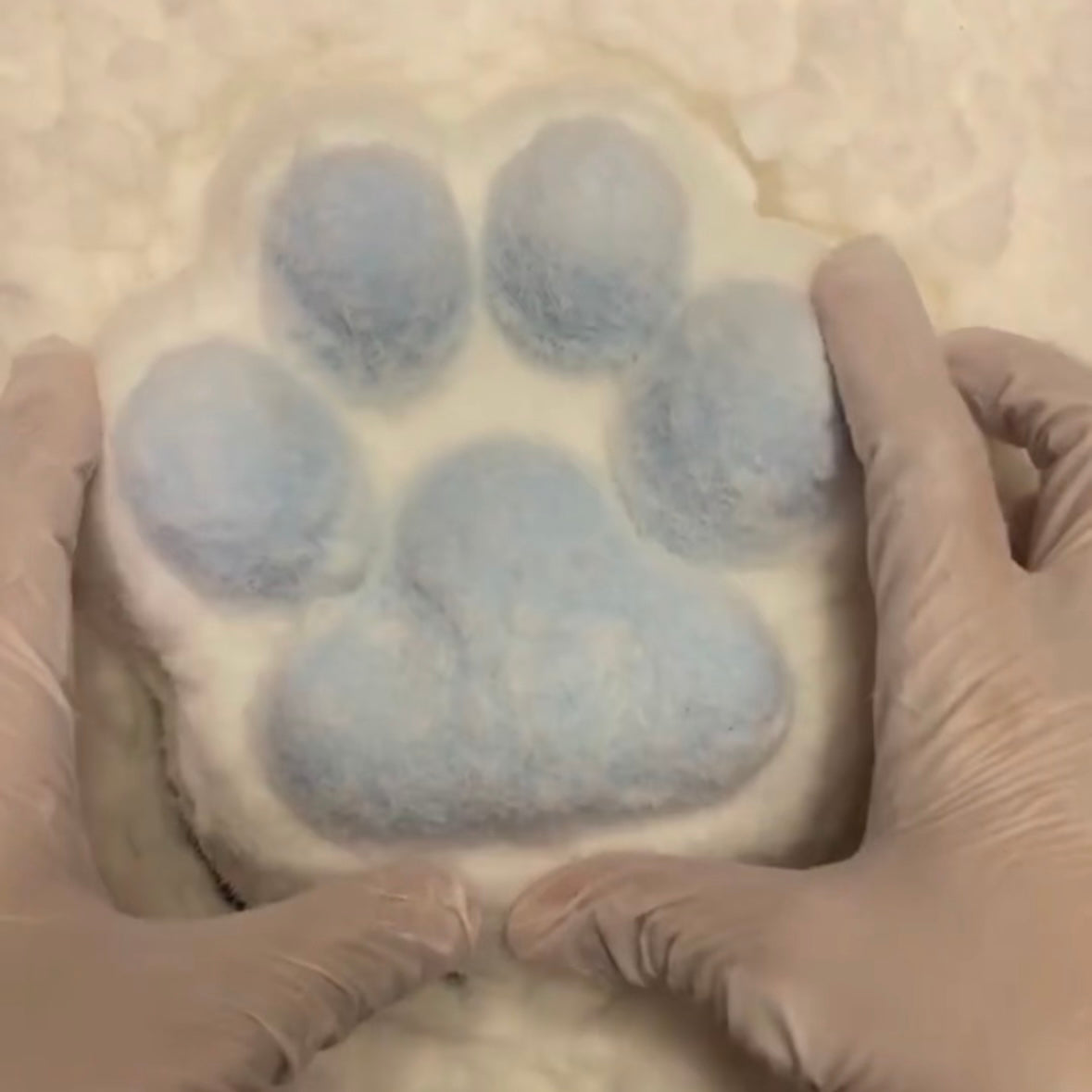 800g Large Handmade Cat’s Paw Taba Squishy Toy