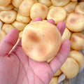 Potato Stress Ball Skin w/ Plug