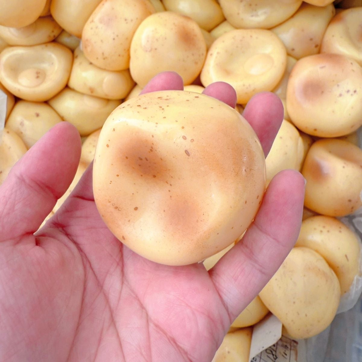 Potato Stress Ball Skin w/ Plug
