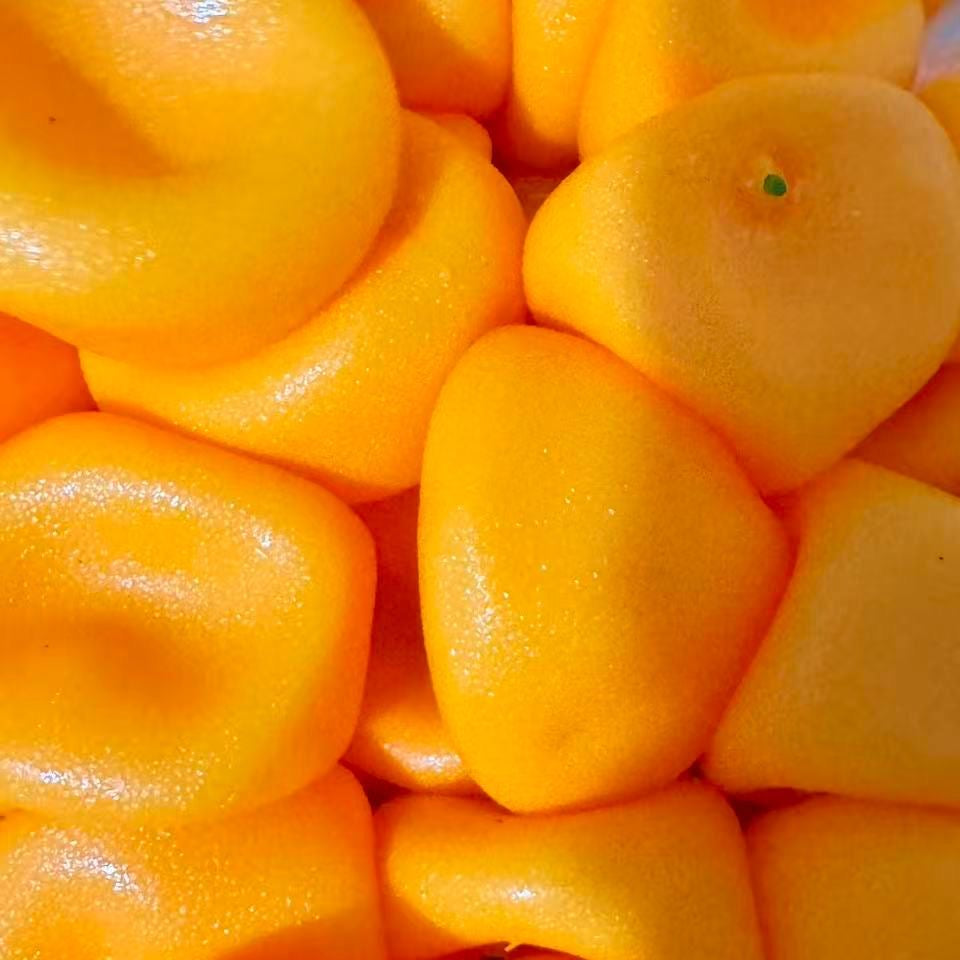 Orange Stress Ball Skin w/ Plug