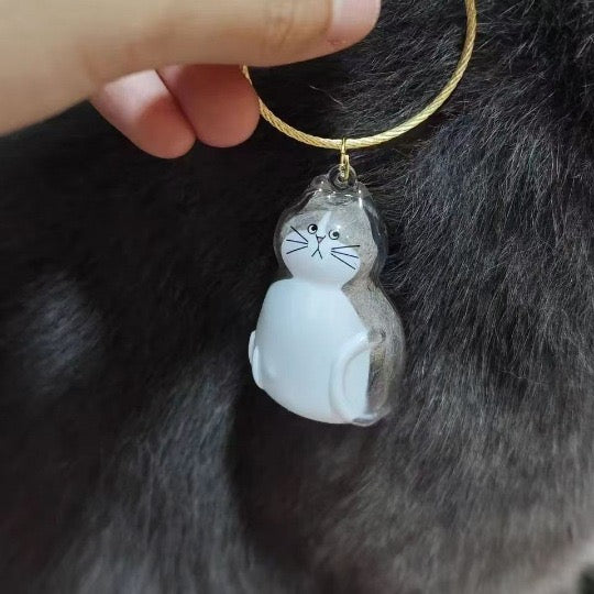 6pcs Transparent Cat Hair Storage Box Cat Hair Storage Capsule Keychain (Not Include Cat Hair)
