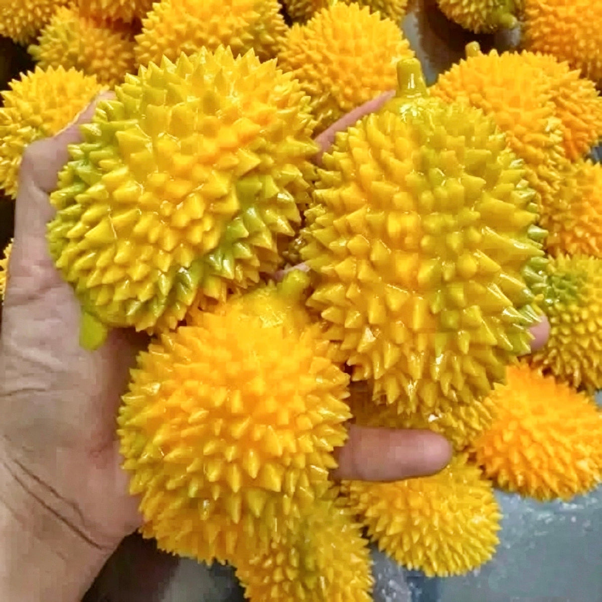 Crunchy Durian Stress Ball Squishy Stress Relief Decompression Toy