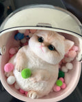 Big Kitty Squishy Stress Relief Toy with a Storage Cart