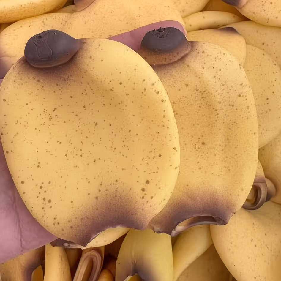 Banana Stress Ball Skin w/ Plug
