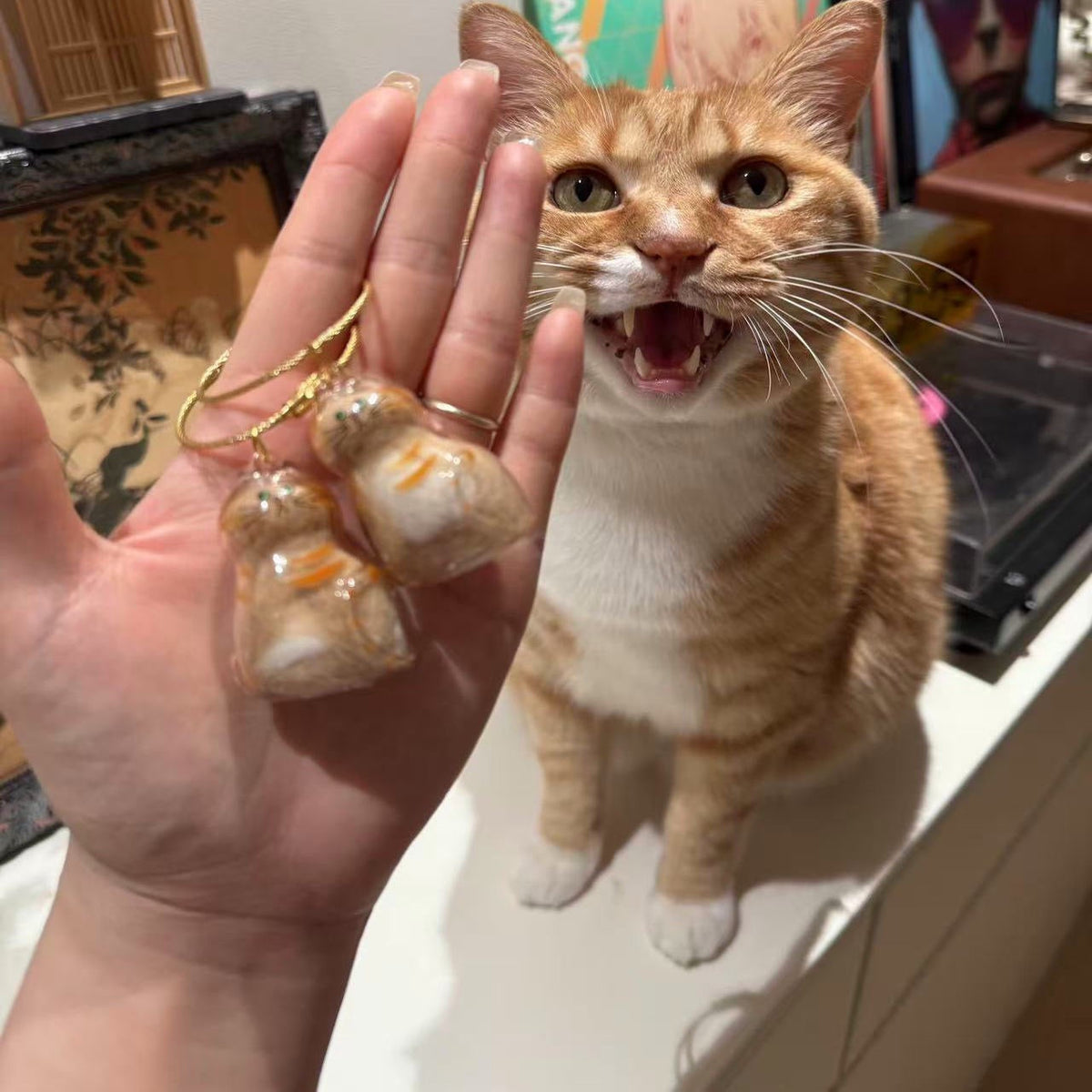 6pcs Transparent Cat Hair Storage Box Cat Hair Storage Capsule Keychain (Not Include Cat Hair)