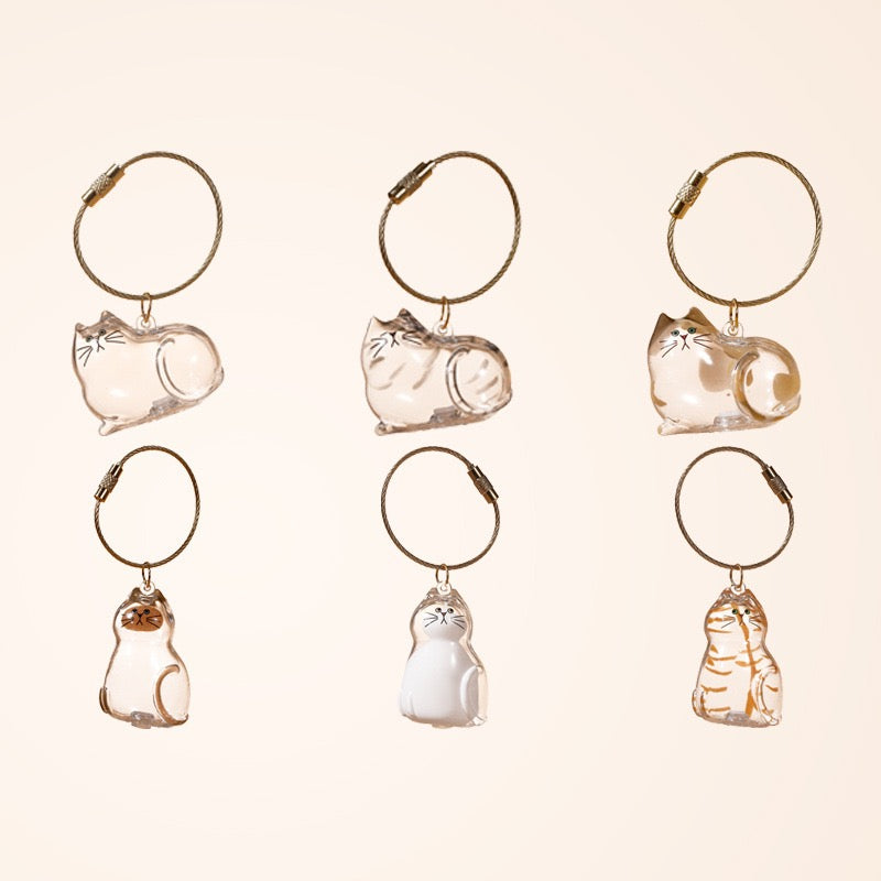 6pcs Transparent Cat Hair Storage Box Cat Hair Storage Capsule Keychain (Not Include Cat Hair)