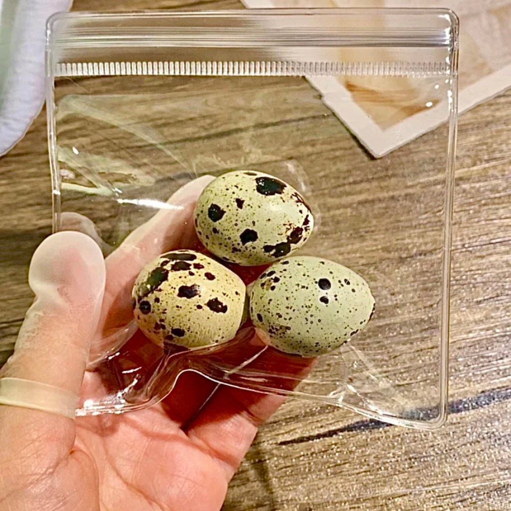 3pcs Quail Eggs Stress Relief Taba Squishy Toy